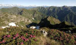 00.panorama 800