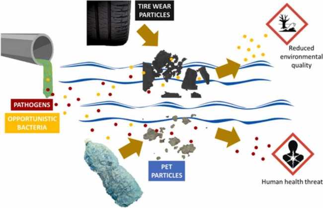 1 s2.0 S0304389422001856 ga1 lrg