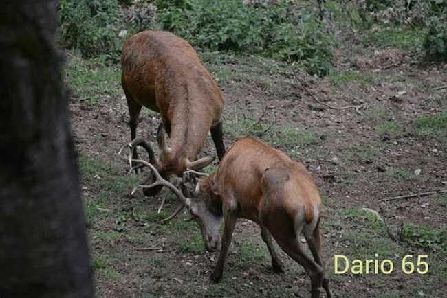 12112072 761286837308793 7416330483212368115 n