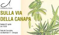 1 aprile canapa