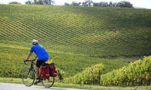 23 bicicletta