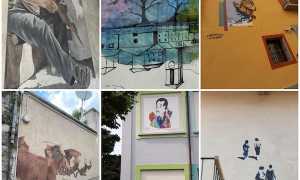 245917949 427369248818974 5821030534769796691 n