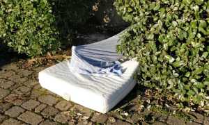 266196808 4966719936674300 3395710428589537209 n