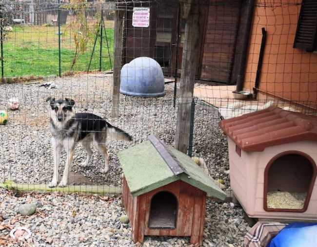 266503582 1761463147382141 9040203244920494768 n