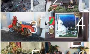 271602867 3212521062406730 1128790392533011573 n