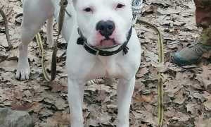 272687006 10225406090126681 8147009923068655255 n