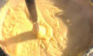 27657064 1910613228972893 8339130859372937655 n