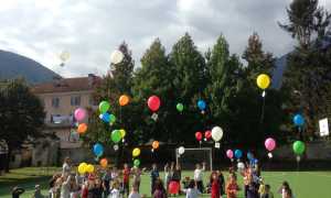 277814646 392303572901023 1058021385625282412 n