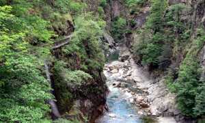 278635242 10159134456747060 7245897994587759187 n