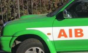 27971768 993795377444573 3675640309595207619 n