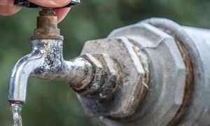 293809706 5564985926879891 4017037191024607748 n