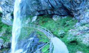 299352119 5000346626736105 5566382629193674107 n