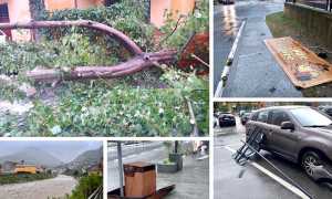 2F6B8D4F 5FC3 42D0 90B2 D93FB00032C7