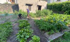 307358452 10217941309239025 1603762905711217154 n