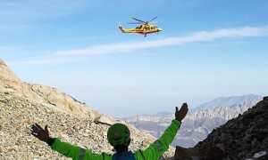 312753558 413832654295816 8703980316334926537 n