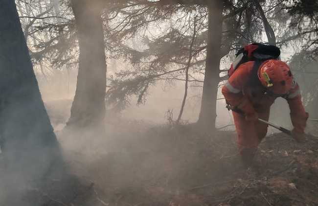 331282001 730050835290820 7467974495948513466 n