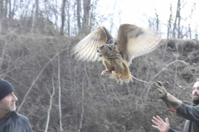 332483327 911534970001023 3237052843681461084 n