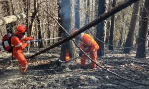 332502032 719913029507275 4657816296006356279 n