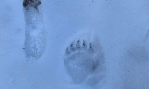 343736820 992550355505771 5635590946309332369 n