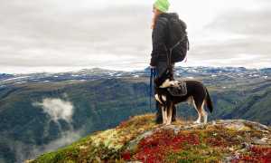 361840217 658370053005789 4025220199158941446 n