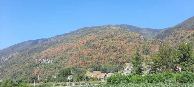 366331185 694274859383623 2616791731615943777 n