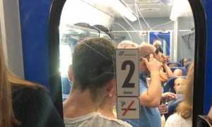 38086038 10156012095627763 6317059348023476224 n