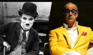 402590982 10228055588167879 6839913428406065974 n