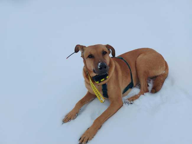 417684246 10232306846197974 2369431384519274960 n