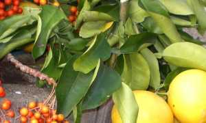 420566686 762504519240211 2777756968439859120 n