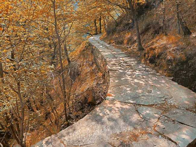 425847174 773597111483082 3174831610278889687 n