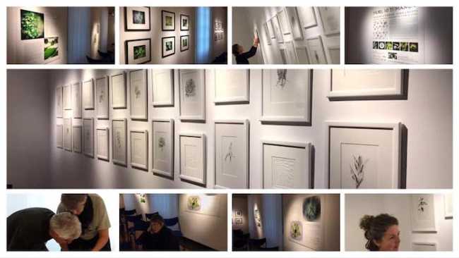 43527264 10156629914226181 779706752303104000 n