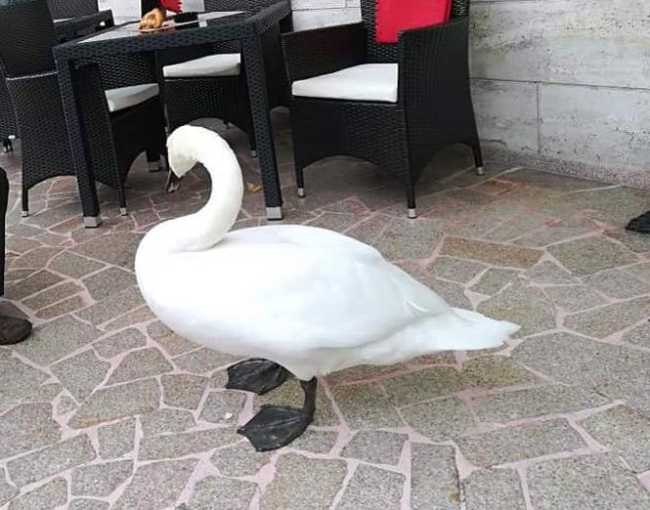 43692030 2308899779396301 6178605210311589888 n