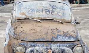 449706010 769599888713588 4618545037482223781 n copia