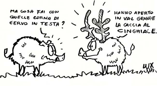 463d83c8 4f00 4b86 bc86 5b70ca5f5772