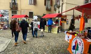 470095006 17952283592892761 2762687563021839043 n