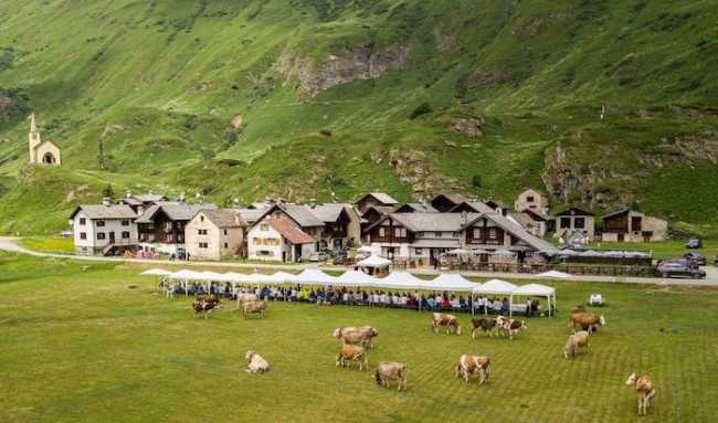 470200560 469643916152599 4965060661309323531 n