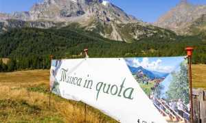 530806070 2810946002436001 8219230475023380769 n