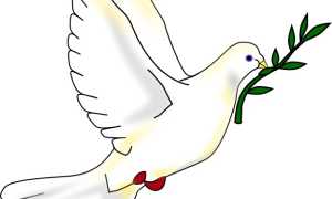 617px Peace dove