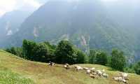 640px Lower Italian alps