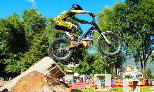 700.luca cotone trial