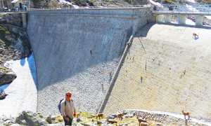 700.uttini FOTO CINGINO CON STAMBECCHI