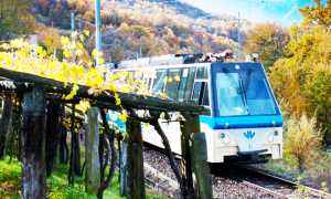 700.verticale Vigezzina autunno 2010 2 low1