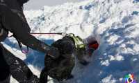 700 cane soccorso valanga