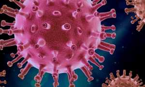 74EB1A35 08C2 4EB2 862B DA5B45162804