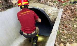 793c37e5 bcb0 42e3 8bb5 bd4408d50122