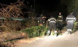 80883565 2885512324806361 7139078726557368320 n