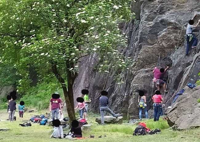 97163410 2620791114799737 6033631419618557952 o