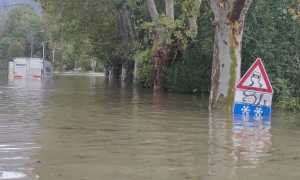 AF391E34 CD7D 4941 9764 126BCA06B9D0