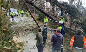 AIB Domobianca alberi abbattuti