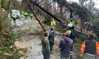 AIB Domobianca alberi abbattuti